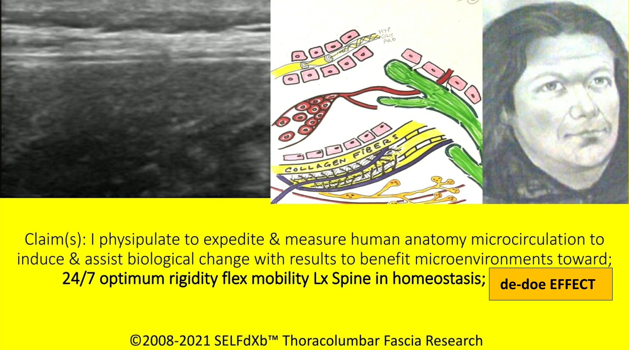 SELFdXb_F.Bioscience_physipulate_illus.copyright